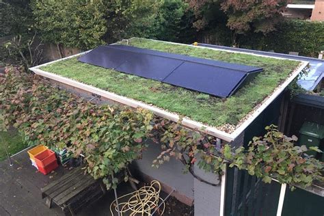 Infographic: Duurzame dakopties zoals groendak, witte dakbedekking en zonnepanelen