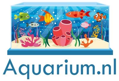 Kaart van plekken met weinig watercirculatie in een aquarium