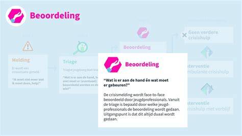 Beoordeling van onderhoudsopties door een vakman