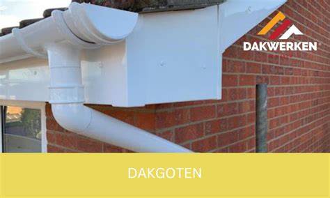 Infographic: Soorten dakgoten en hun kenmerken