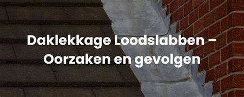 Infographic: oorzaken en gevolgen van daklekkage