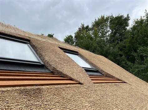 Velux dakraam op rieten dak: in-de-kap en opbouwvarianten