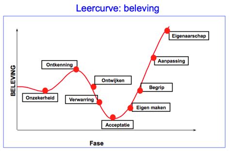 Infographic: Leercurve en serviceaanbod van Schildersbedrijf de Leeuw