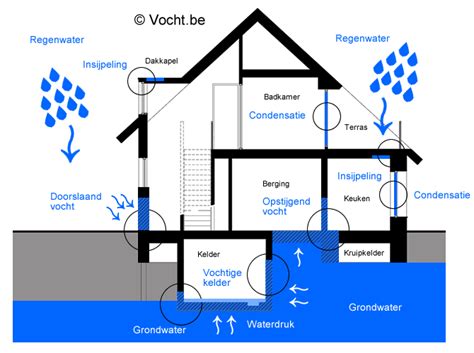 Illustratie van verschillende soorten vochtproblemen in muren (optrekkend, doorslaand, condensatie)