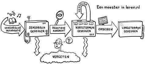 Diagram van korte vs uitgebreide vergunningsprocedure