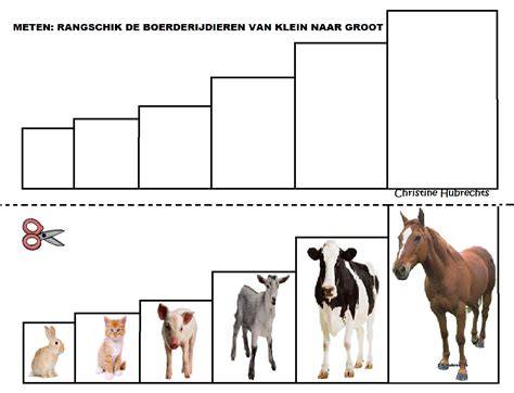 Vergelijking van edities: Klein, Groot, Extra Groot.