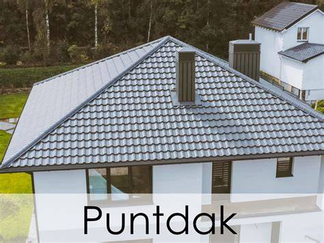 Infographic: overzicht puntdak constructie, nokpunt en opstanden