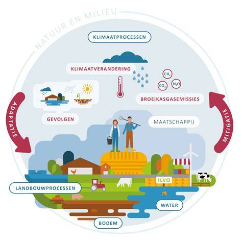 Infographic: Samenhang tussen programmanagement, asbestonderzoek en klimaatadaptatie