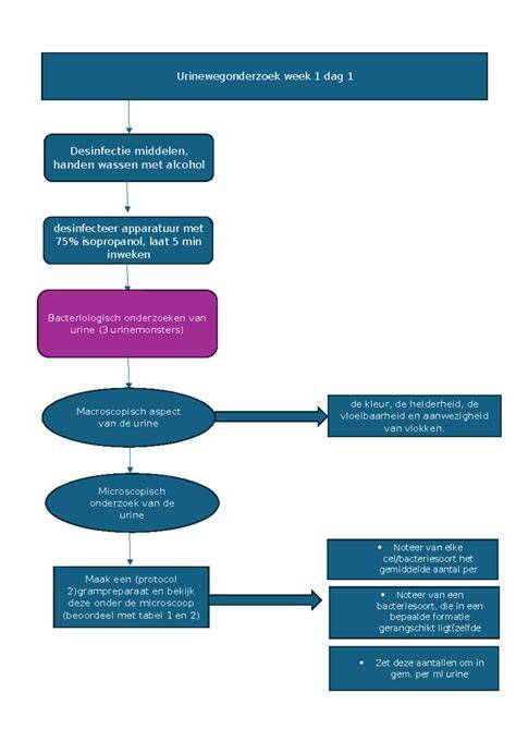 Flowchart PVC-lijmverbinding en droogtijd