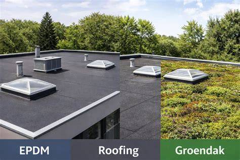 Infographic: Overzicht plat dak opties EPDM, Bitumen, Groendak