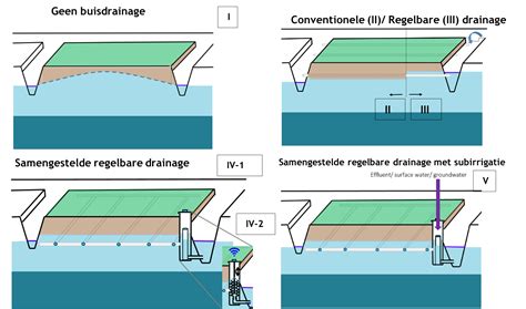 Infographic: Overzicht drainagesystemen - oppervlakte drainage, ringdrainage en visgraat systeem