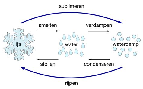Illustratie die de twee droogprocessen van verf visualiseert: verdamping en chemische uitharding.