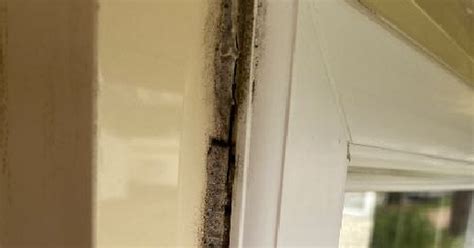 Detailfoto van beschadigde kitnaden rondom een douchebak.