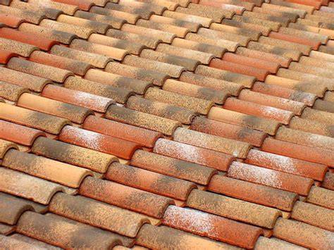 Foto van gebogen terracotta dakpannen