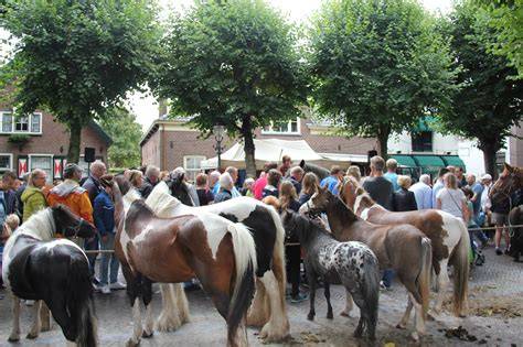 Overzicht tekening van de Paardenmarkt en omliggende historische gebouwen
