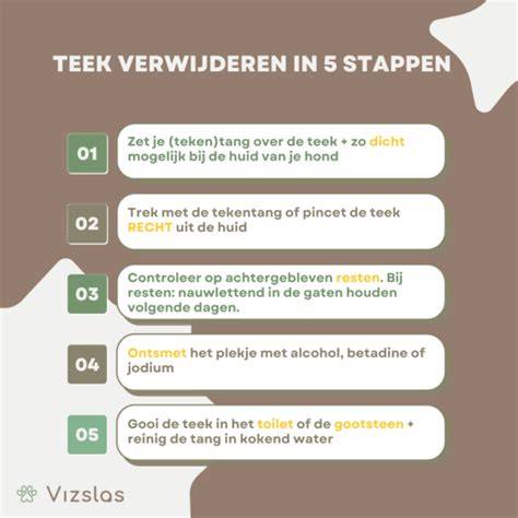 Infographic over stappen bij bubbels verwijderen en voorkomen