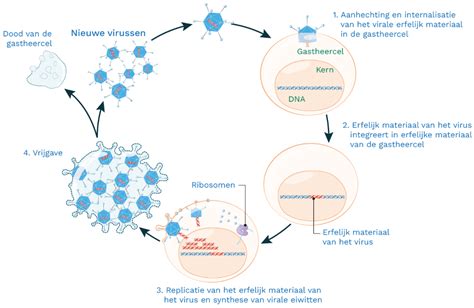 Illustratie die de verspreiding van legionellabacterie toont.