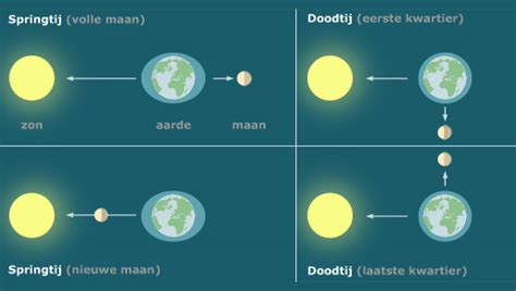 Infographic: Hoe eb en vloed ontstaan en wat springtij is