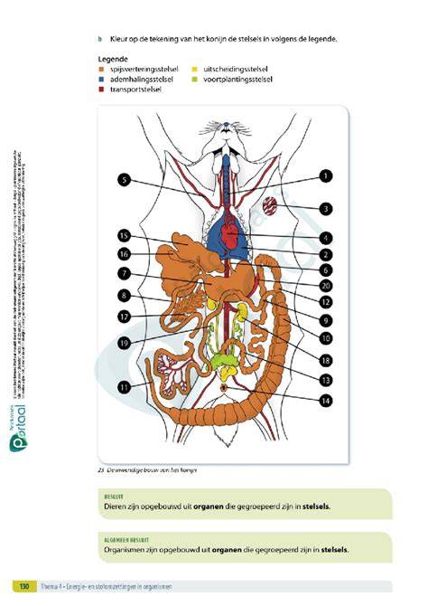 Stroomdiagram van de stelsels en afdelingen