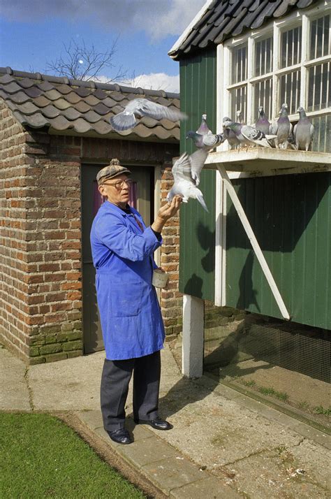 Foto van een woning in Duiven die door Ronald Gerressen B.V. is geïsoleerd.