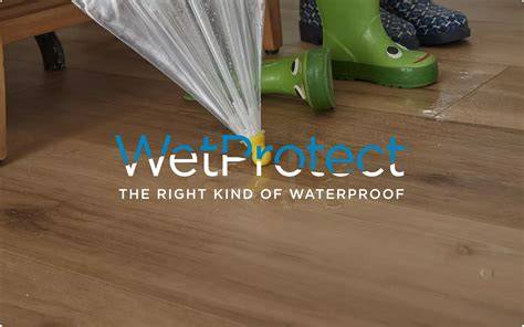 Diagram: Waterdichtheidsvoorwaarden WetProtect