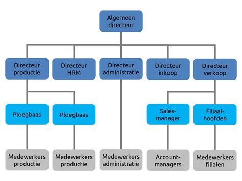 Diagram: IPM-teamstructuur en samenwerkingslijnen
