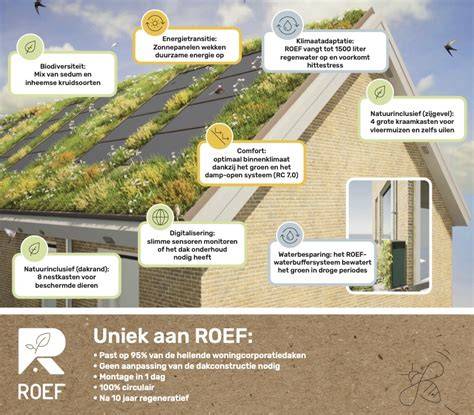 Afbeelding: Voor- en na groen daksysteem