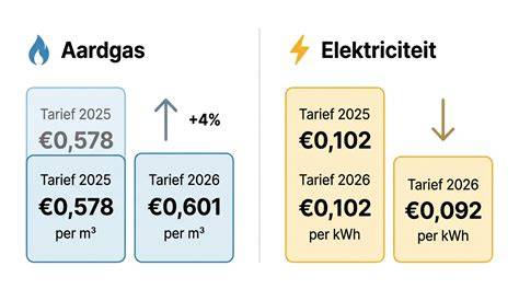 Infographic: Vergelijk dakdekkers tarieven en service op Texel