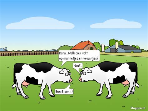 Infografiek over korte moppen zonder voegwoorden