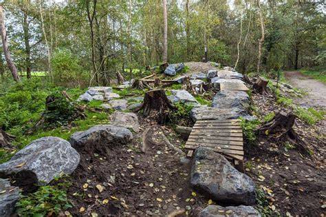 Foto van de Dak van Netersel: een smalle, bochtige strook met rock gardens en een verhoogde bult