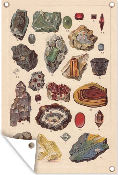 historische illustratie van schuurmiddelen met natuurlijke materialen