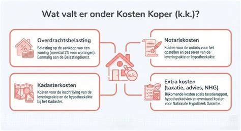 Infographic: Kosten en keuzemogelijkheden bij tuinbestrating