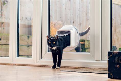 Infografiek: overzicht stappen kattenluik installeren