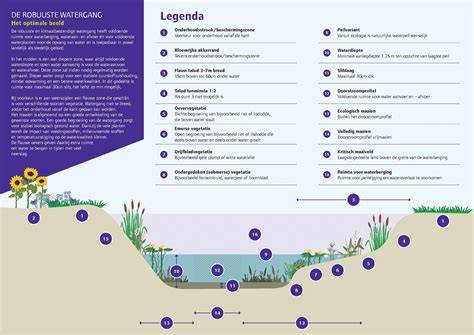 Drainzandstructuur en waterafvoer infographic