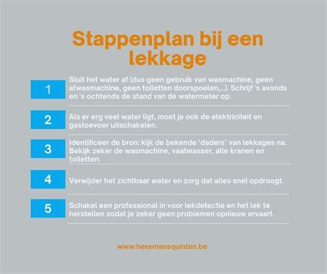 Diagram: stappenplan bij verstopping of lekkage