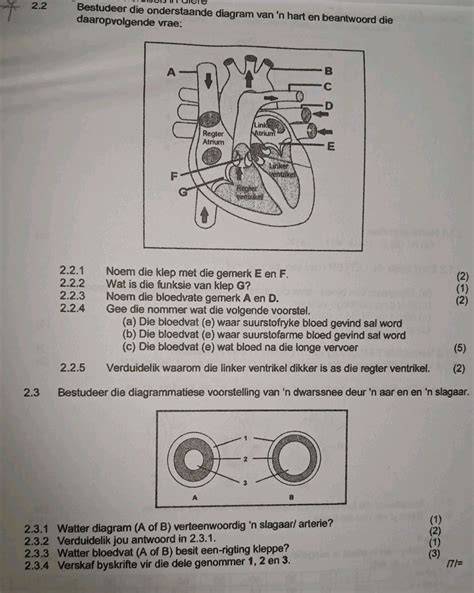 Diagram van inbouwafvalsystemen en korfsystemen