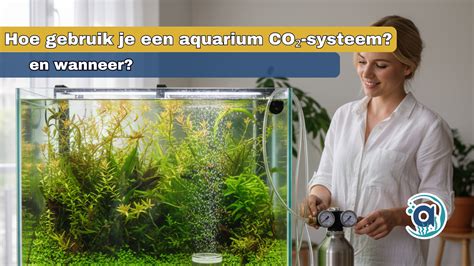 Diagram: CO2-dosering in een aquarium en pH-impact
