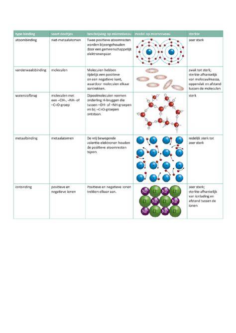 Infographic: Typen schuttingen en hun eigenschappen