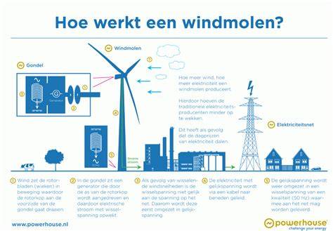 Infographic: werking van een windmolen (wiekenkruis, bovenwiel, koningsspil, scheprad, maalstenen)