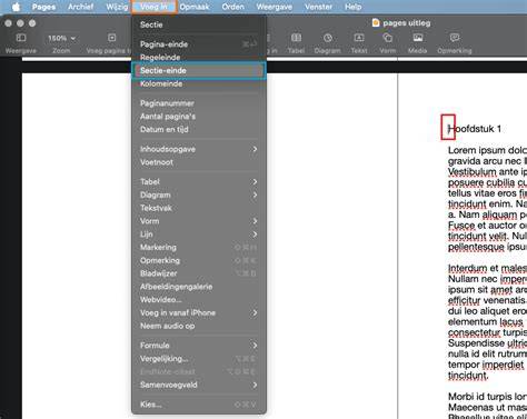 Pages op iPad: paginanummers instellen