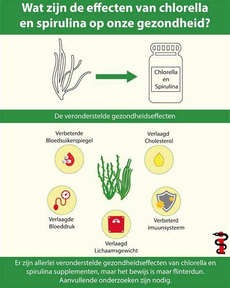 Infographic: rookproces en effecten op eikenhout