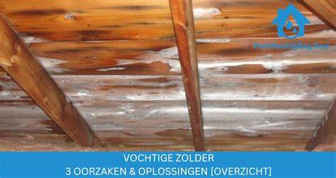 Infographic: Oorzaken en oplossingen voor vochtige buitenmuren