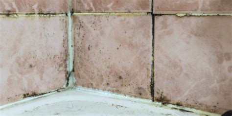 Infographic over de oorzaken van schimmel in de badkamer: vocht, slechte ventilatie, condensatie.