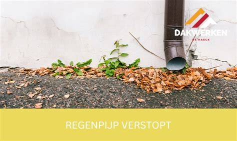 Infographic: onderdelen hemelwaterafvoer (dakgoot, regenpijp, riolering) en oorzaken van verstoppingen