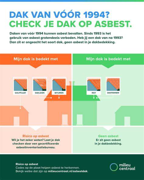 Infographic laat zien hoe je je dak op asbest kunt checken.
