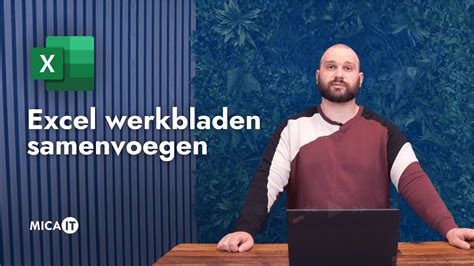Infographic: Overzicht werkbladen in Excel - aanmaken, benoemen, samenvoegen