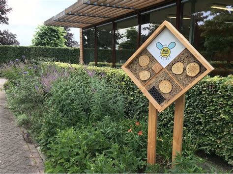 Illustratie van een bijenhotel met verschillende maten gangen