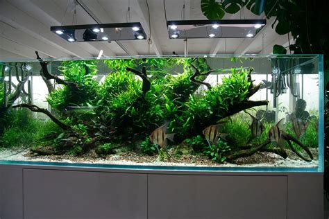 Een aquarium in een kamer waar stucwerkzaamheden plaatsvinden