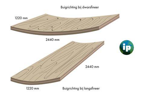 Infographic: langsfineer vs. dwarsfineer en buigrichting