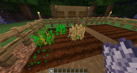 Een aangelegd veld in Minecraft met waterbron en hekwerk